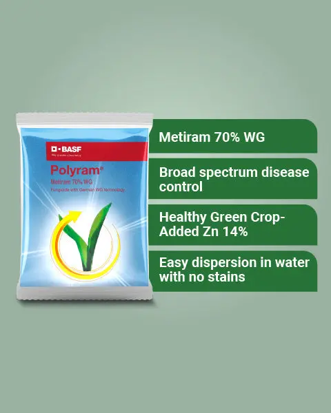 Basf Polyram Fungicide (Metiram 70% Wg) - Broad-Spectrum Disease Control 2