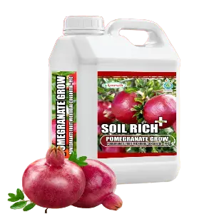 Amruth Pomegranate Grow (Fertilizers) 1