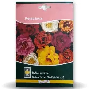 Portulaca Flower Seeds 1