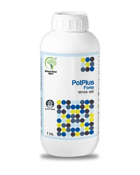 Bloomfield Potplus Forte 1
