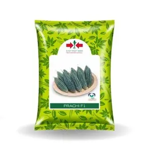 East West Prachi F1 Bitter Gourd Seeds 1