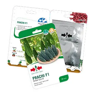 Prachi F1 Bittergourd Seeds 1