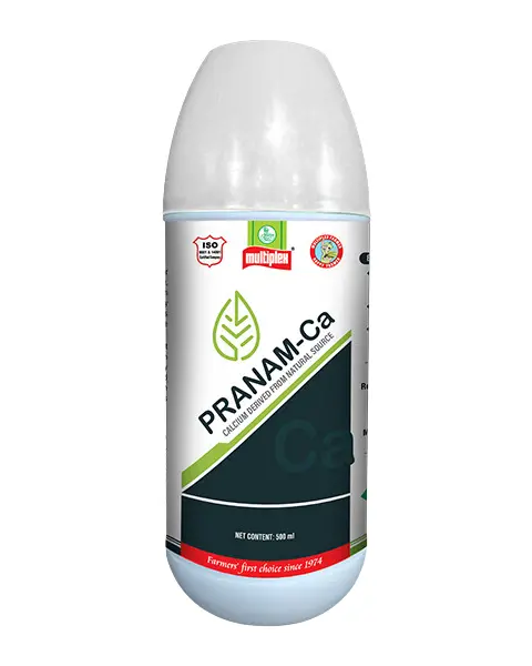 Multiplex Pranam-Ca (Liquid Calcium 15 %) 1