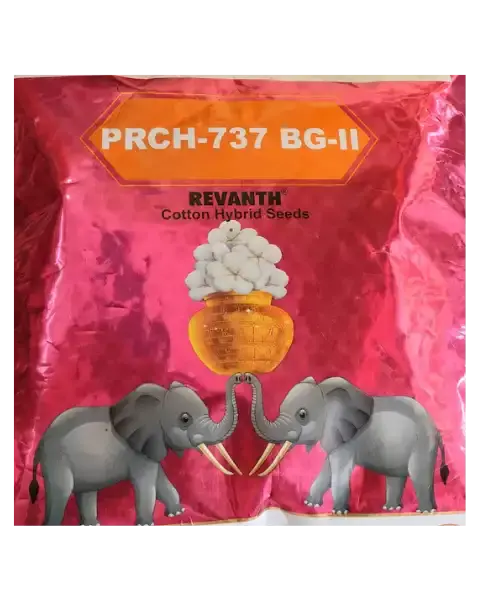 Prch-737 Bg-Ii Revanth Hybrid Cotton Seeds – High Yielding Hybrid 1