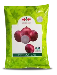 Prema 178 Onion Seeds – High Yield, Medium-Sized Red Bulbs 1