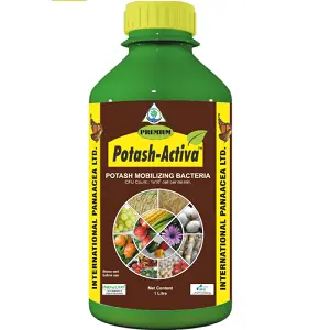 Premium Potash Activa (Potash Mobilizing Bacteria) 1
