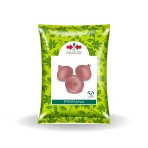 Prerana Onion Seeds 1