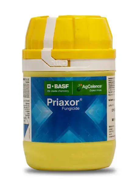 Priaxor Fungicide By Basf (Pyraclostrobin + Fluxapyroxad) Broad Spectrum Control 1