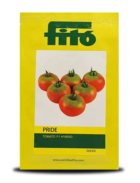 Pride Tomato Seeds 1