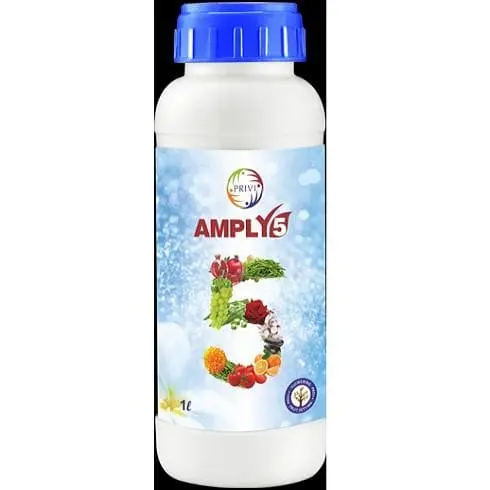 Privi Amply - 5 Growth Simulator 1