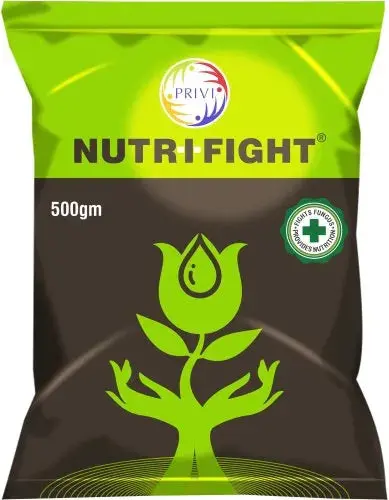 Privi Nutrifight Immunity Booster 1