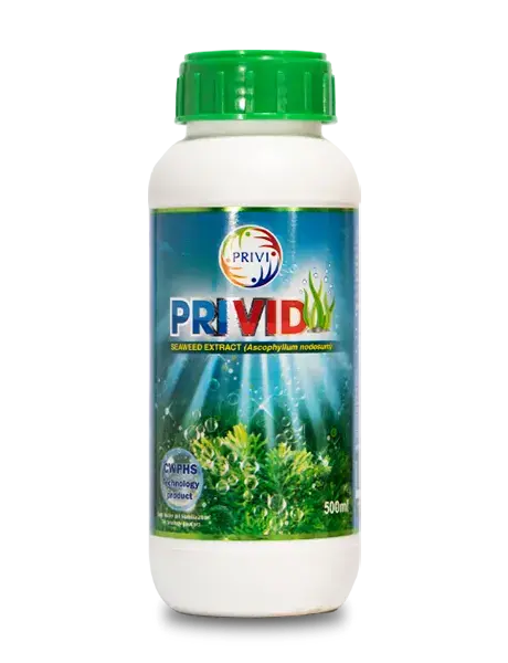Privid Seaweed Extract (Growth Promoter) 1