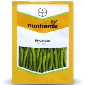 Priyanka Chilli Seeds 1