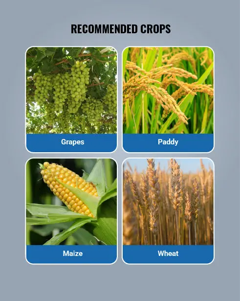 Progibb Plant Growth Regulator (Gibberellic Acid) - Advanced Plant Growth Regulation 3