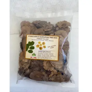 Pioneer Agro Pterocarpus Marsupium (Vengai) Tree Seed 1