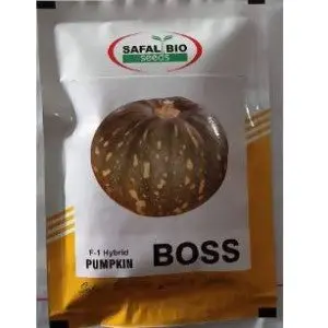 Boss F1 Hybrid Pumpkin Seeds 1