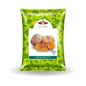 East West Arjuna F1 Pumpkin Seeds 1