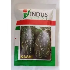 Kashi Pumpkin Seeds 1