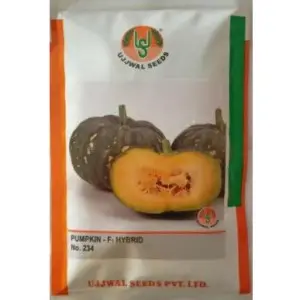 Ujjwal Pumpkin Us 234 F1 Hybrid Seeds 1