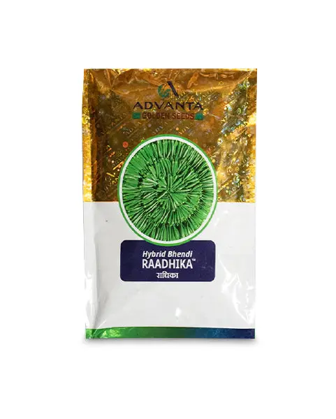 Raadhika Bhindi Hybrid Seeds By Advanta - Long Shelf Life & High Yield 1
