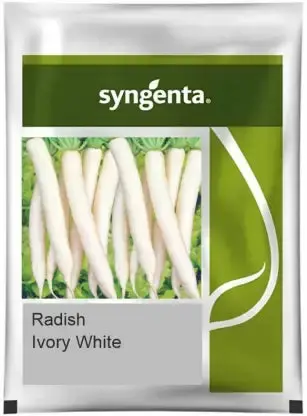 Syngenta Ivory White Radish Seeds – Early Maturity Hybrid 1