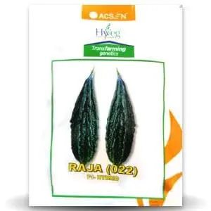 Raja Bittergourd (राजा करेला ) 1