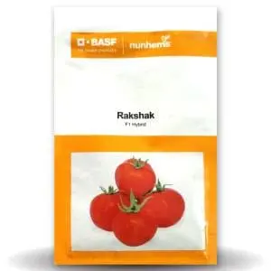 Rakshak Tomato Seeds - High Yield, Tolcv Resistant, Firm Fruit 1