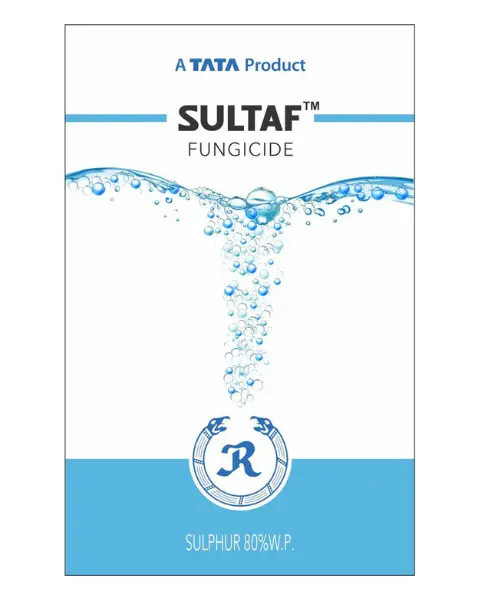 Sultaf (Sulphur 80% Wp) – Controls Fungal Diseases 1