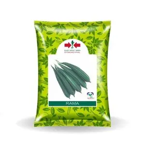 Rama F1 Ridgegourd (रामा एफ 1 तुरई ) 1