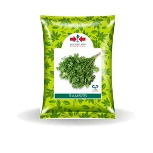 East West Ramses Coriander Seeds 1