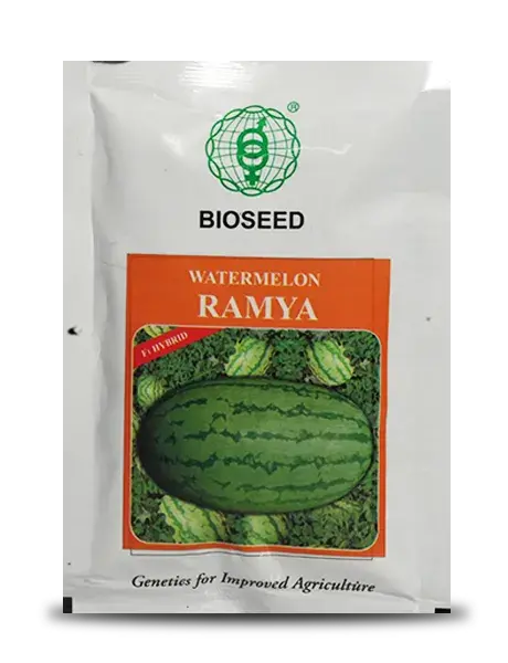 Ramya Watermelon 1