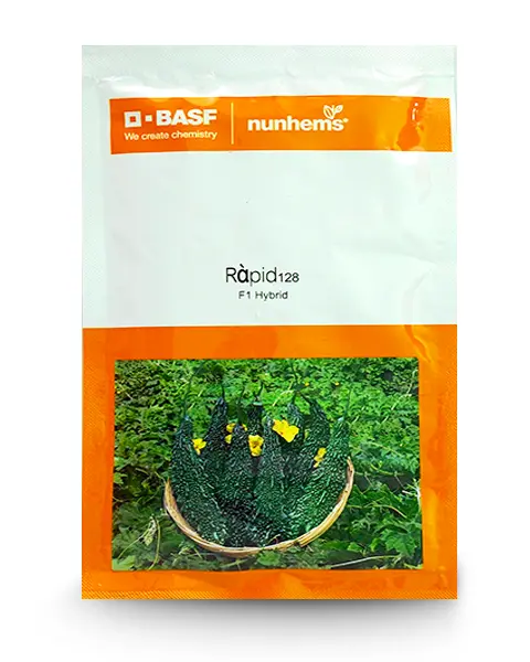 Nunhems Rapid 128 F1 Hybrid Bitter Guard Seeds 1
