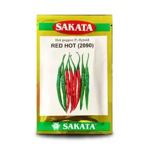 Red Hot (2090) Chilli 1