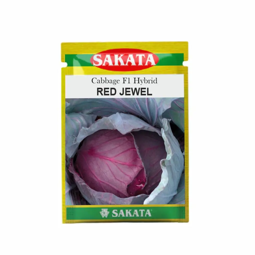 Red Jewel F1 Hybrid Cabbage Seeds: Deep Red, High Yield, Early Maturing, Widely Adapted 1