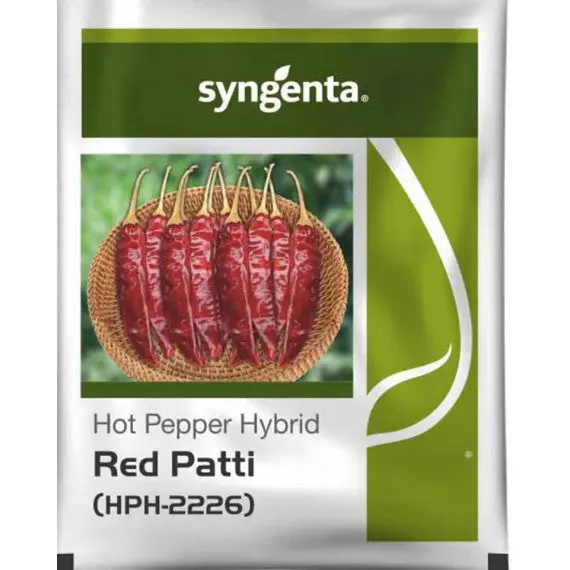 Red Patti (Hph-2226) Chilli 1