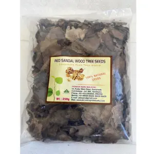 Pioneer Red Sandalwood Tree Seeds 1