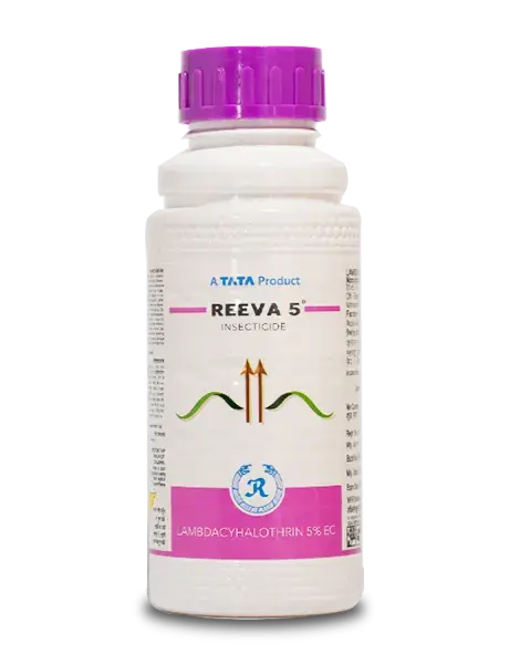 Reeva 5 Insecticide (Lambdacyhalothrin 5 % Ec) For Sucking Pests And Caterpillars Control 1