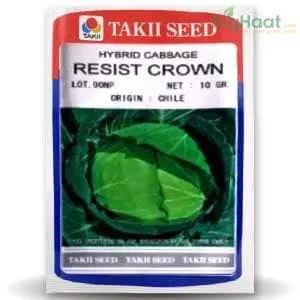 Resist Crown Cabbage F1 1