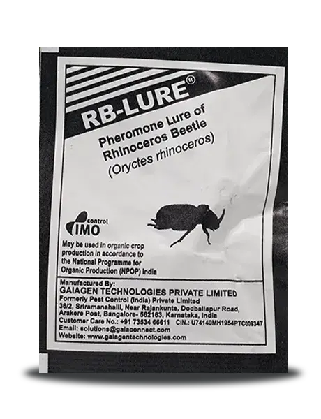 Rhinoceros Beetle Lure | Pest Control India 1