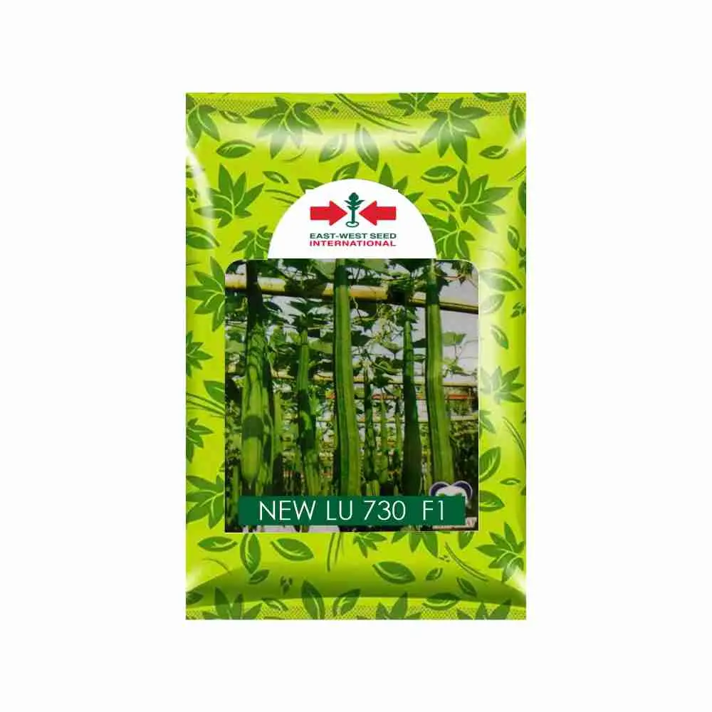 East West New Lu 730 F1 Ridge Gourd Seeds 1