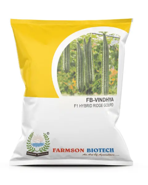 Farmson Fb- Vindhya Ridge Gourd Seeds 1