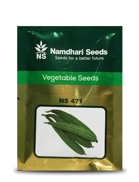 Ns 471 F1 Hybrid Ridge Gourd Seeds 1
