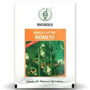 Rohini Ridge Gourd Seeds (रोहिणी तुरई ) 1