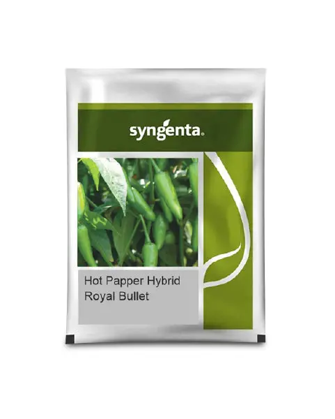 Syngenta Royal Bullet Chilli Seeds - High Yield Hybrid Variety 1