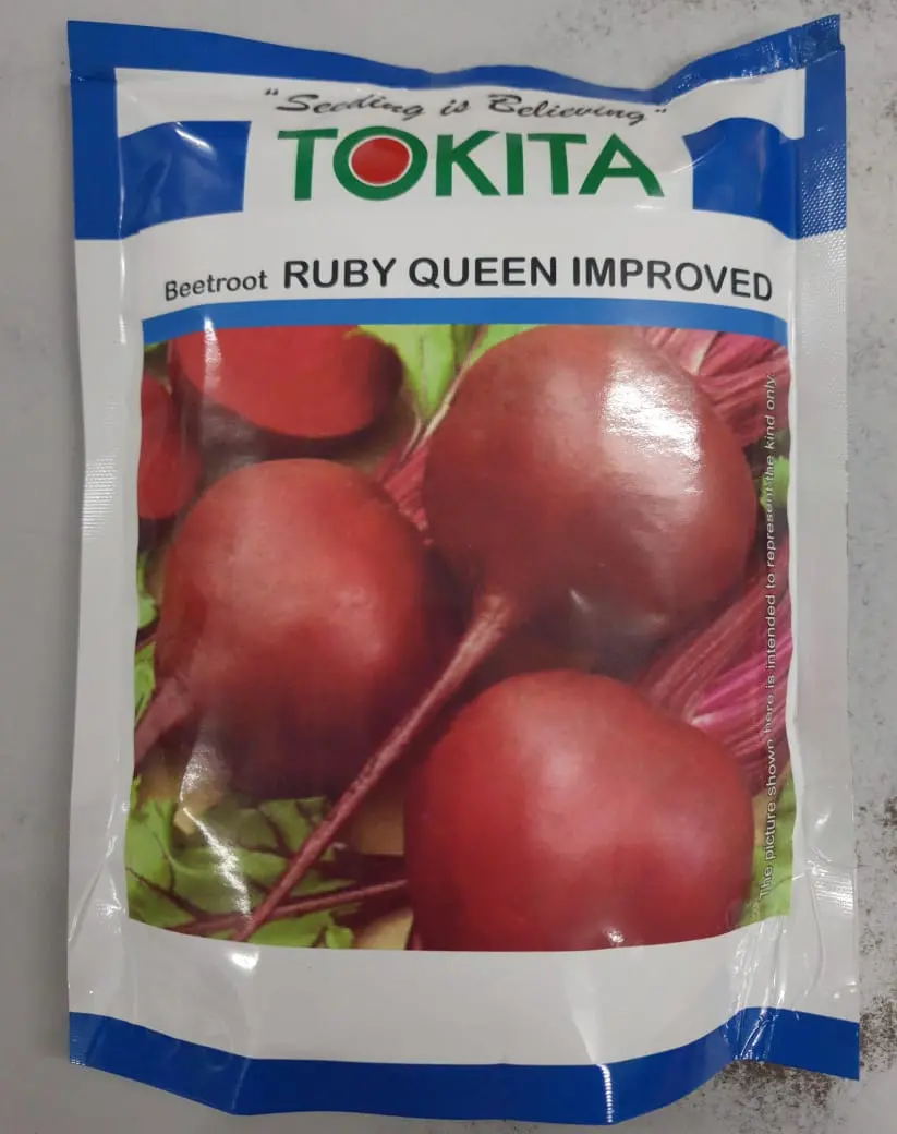 Ruby Queen Beetroot Improved 1
