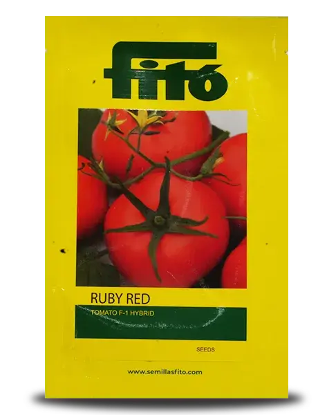 Ruby Red Tomato ( रूबी रेड टमाटर ) 1