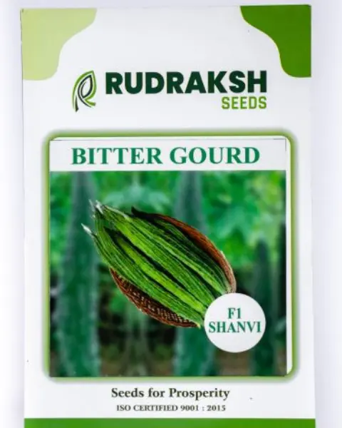 Rudraksh Bitter Gourd F1 Saanvi 1