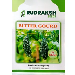 Rudraksh F1 Dhruv Bittergourd (Medium) Seeds 1