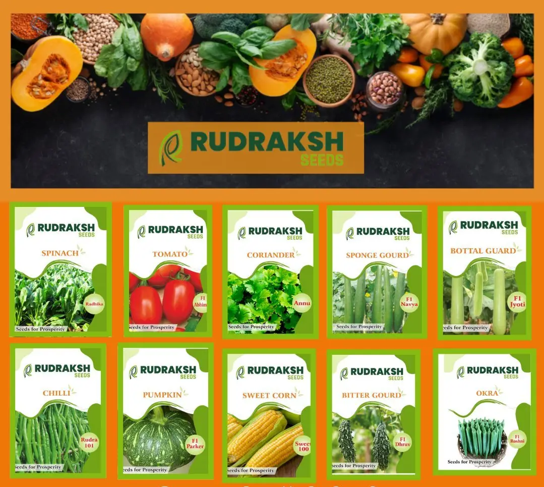 Rudraksh Combo Kitchen Seeds 1