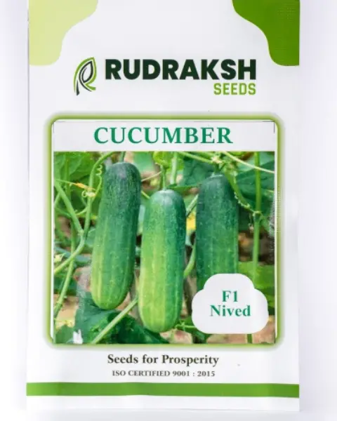 Rudraksh F1 Nived Cucumber (Green, Cylindrical) Seeds 1